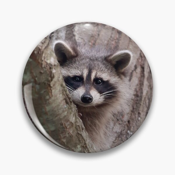 Item preview, Masked Bandit designed and sold by mlorenz.