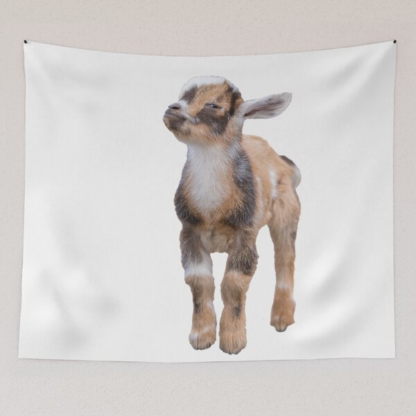Item preview, Judgey Goat is Judging You. designed and sold by OryPhotography.