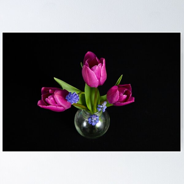 Artikelvorschau, Drei rosa Tulpen entworfen und verkauft von KatiaKovan.