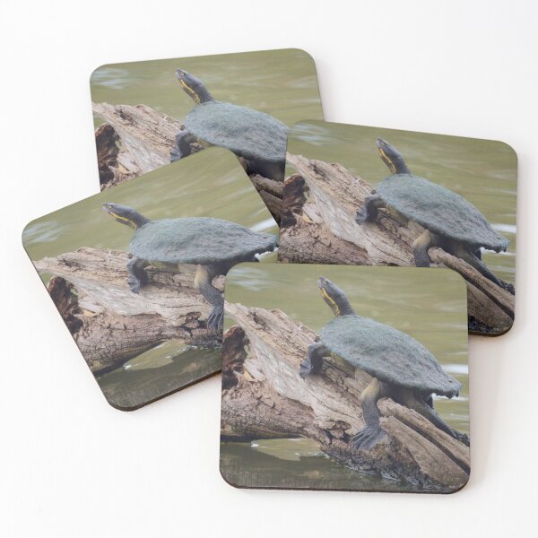 Item preview, Long Necked Turtle designed and sold by D-GaP.