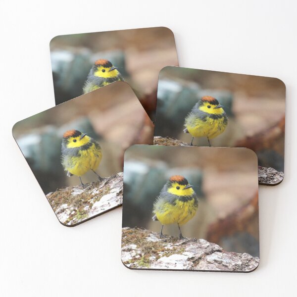 Item preview, Collared Redstart designed and sold by John Deitsch.