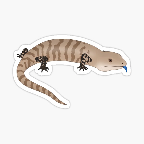 Item preview, blue tongue skink  designed and sold by moon k.