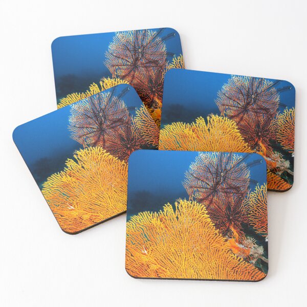 Item preview, Fans and feathers designed and sold by David Wachenfeld.