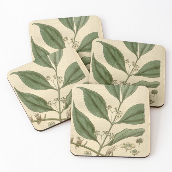 Item preview, Curtis's botanical magazine (Plate 2767) (8610061947) designed and sold by EsotericBotanic.