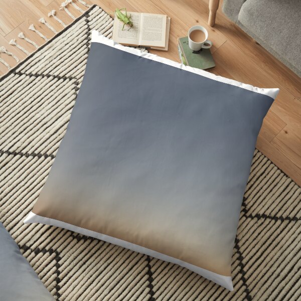Soft Gradient Home Decor Floor Pillow