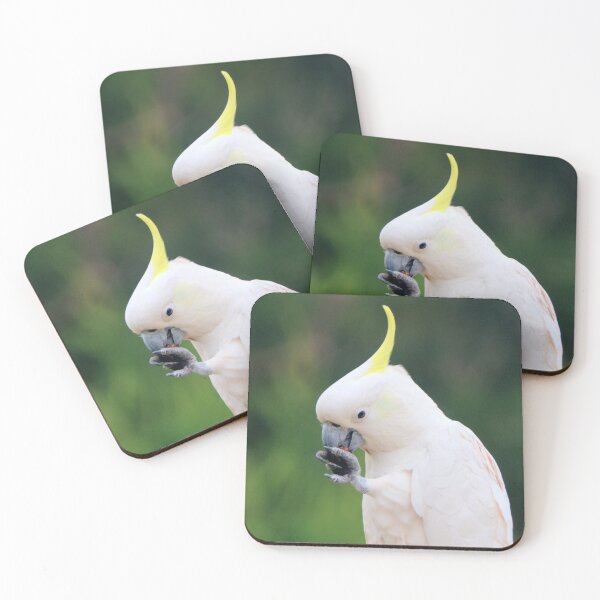 Item preview, Cocky cracks a nut designed and sold by Blackadder Photography.