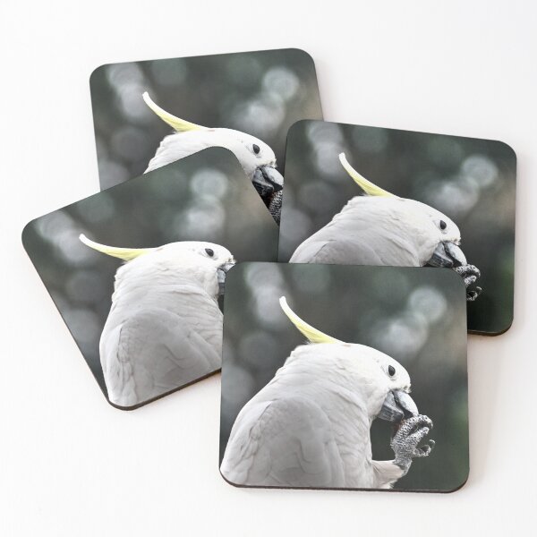 Item preview, Cocky cracks another nut designed and sold by Blackadder Photography.