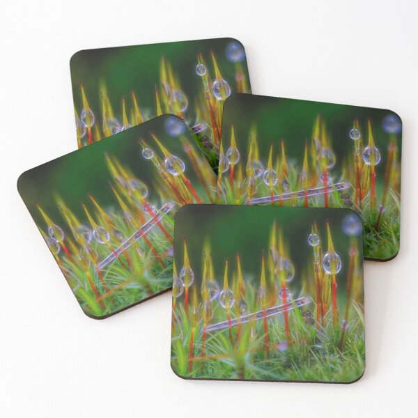 Item preview, Moss life 4 designed and sold by Veikko  Suikkanen.