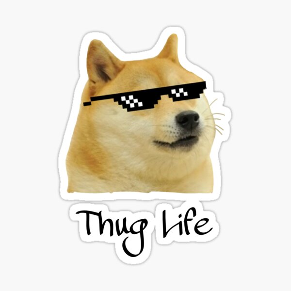 Funny thug life Dog Meme Funny thug life Dog Meme