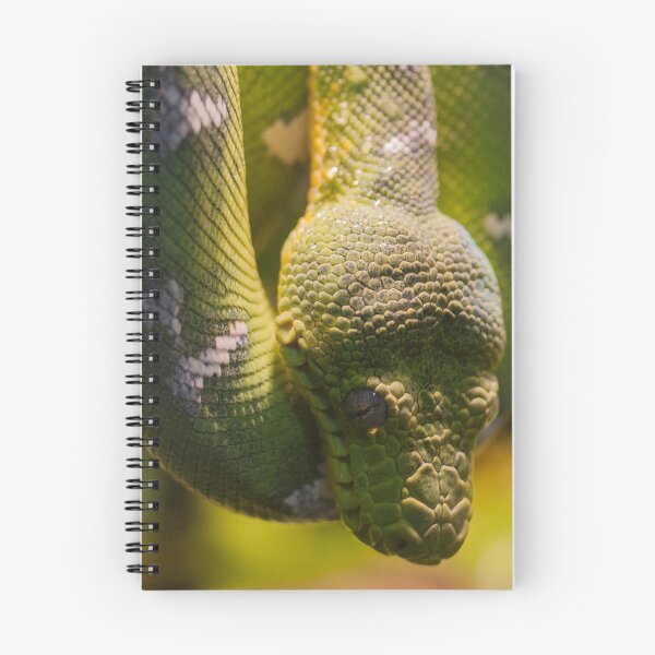 Item preview, Green Snake designed and sold by CoryellArt.
