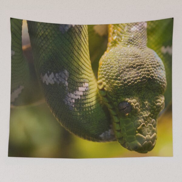 Item preview, Green Snake designed and sold by CoryellArt.
