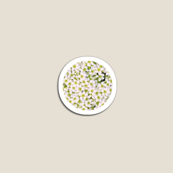 Item preview, White Flowers PopSocket designed and sold by Locktavia.