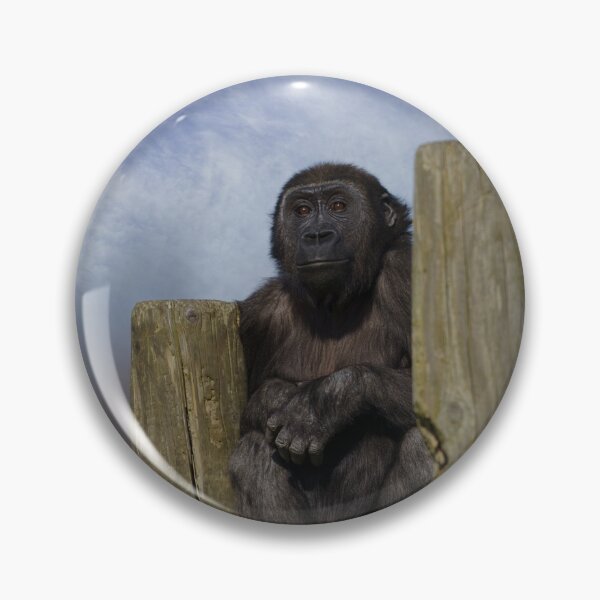 Item preview, gorilla youngster lookout  designed and sold by rawshutterbug.