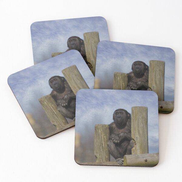 Item preview, mirador gorila joven designed and sold by rawshutterbug.