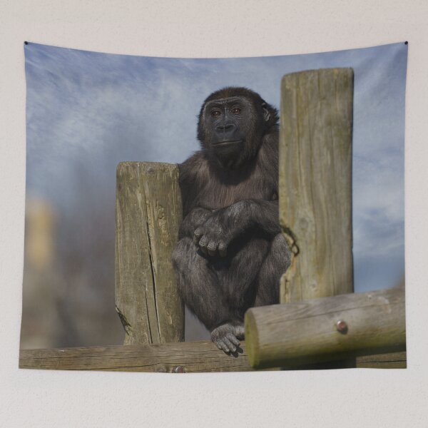 Item preview, gorilla youngster lookout  designed and sold by rawshutterbug.