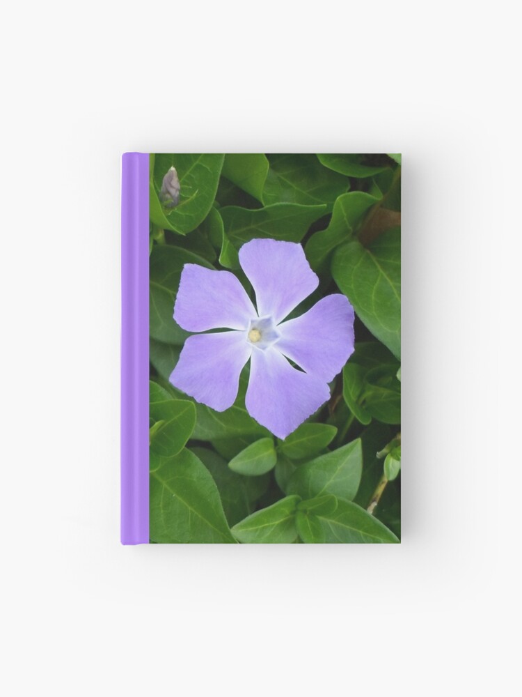 Cuaderno de tapa dura «Flor Morada Con Cinco Pétalos» de KeksWorkroom |  Redbubble