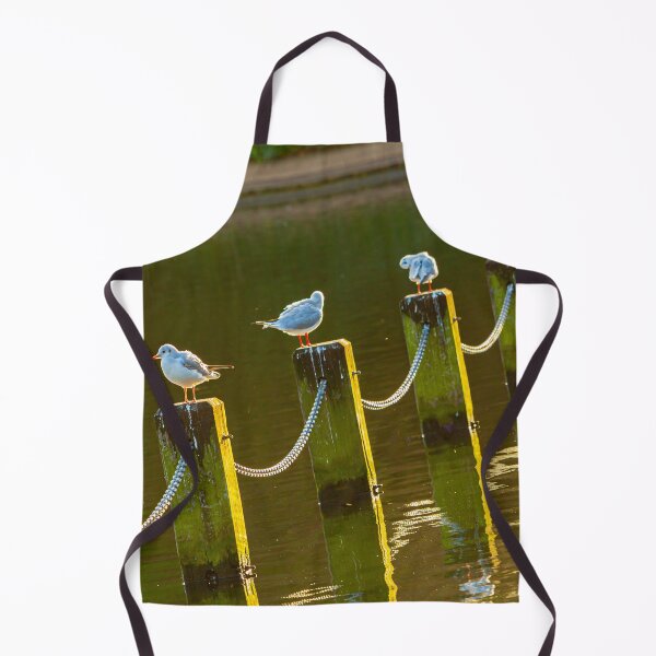 Item preview, Socially distancing Gulls designed and sold by Dalyndigital Photography.
