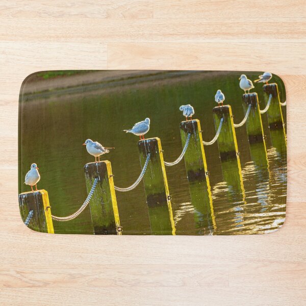 Item preview, Socially distancing Gulls designed and sold by Dalyndigital Photography.
