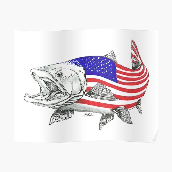 American Steel Head Salmon Poster