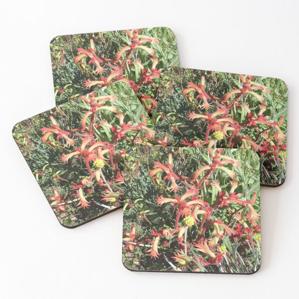 Item preview, Cat's Paw - Anigozanthos humilis designed and sold by lezvee.
