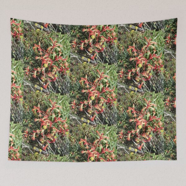 Item preview, Cat's Paw - Anigozanthos humilis designed and sold by lezvee.