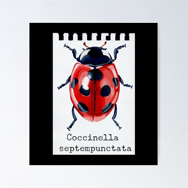 Item preview, The Explorer's Journal - Coccinella septempunctata designed and sold by HighFives555.