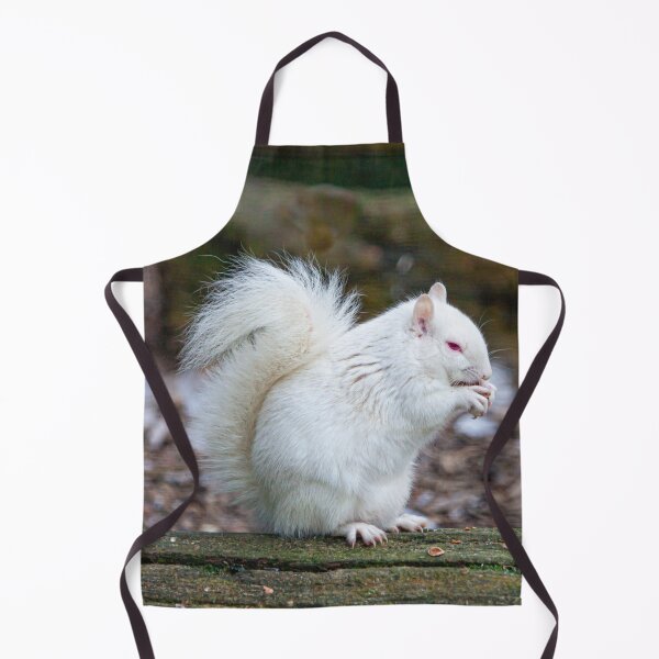 Item preview, Albino Grey Squirrel designed and sold by Dalyndigital Photography.