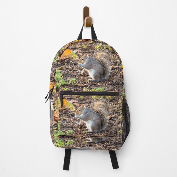 Item preview, Squirrel Nutkins has found his nuts! designed and sold by Dalyndigital Photography.
