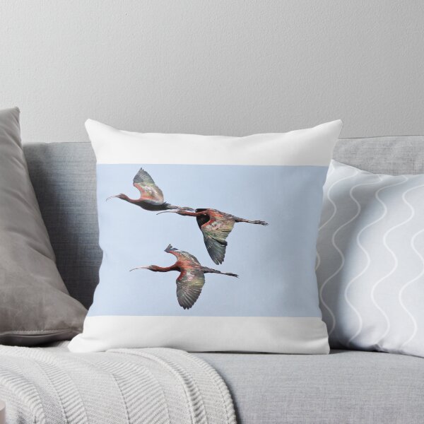 Item preview, Glossy Ibis in Flight designed and sold by Ehrfelduniverse.