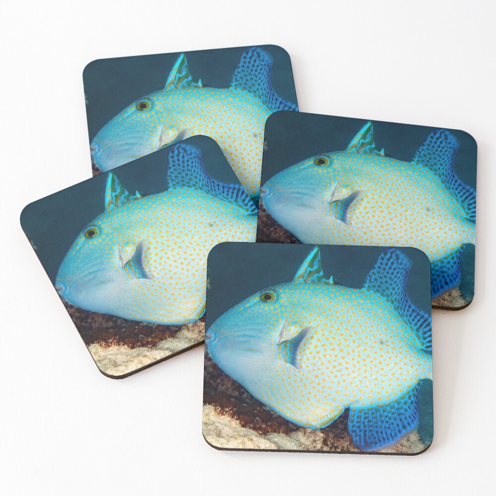 Item preview, Coasters (Set of 4) designed and sold by DavidWachenfeld.