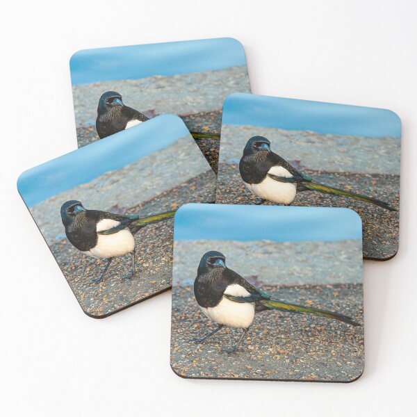 Item preview, Morning Mr Magpie designed and sold by Dalyndigital Photography.