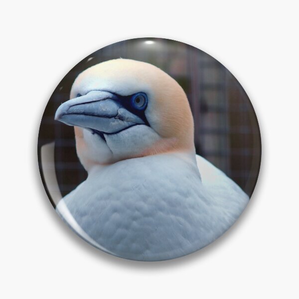 Item preview, Bird Portrait 3 designed and sold by Charles Oliver Creations.