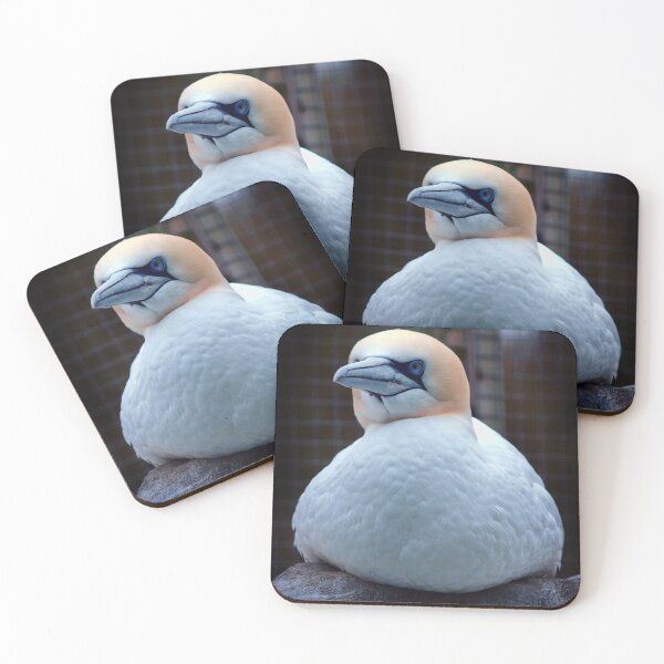 Item preview, Bird Portrait 3 designed and sold by Charles Oliver Creations.