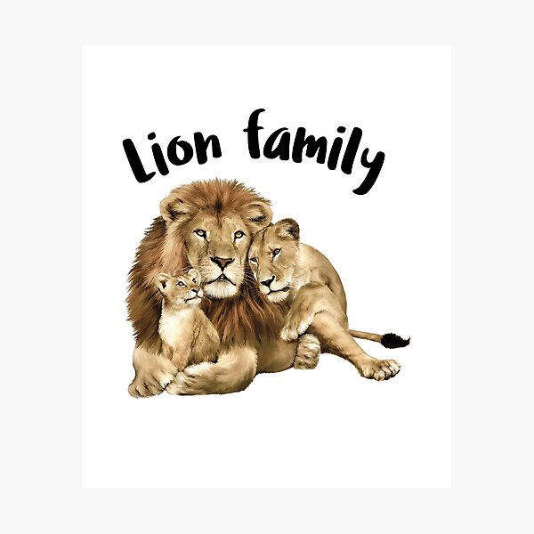 Lámina fotográfica «Familia de leones» de RayT74 | Redbubble