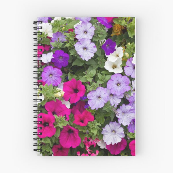 Item preview, petunias flowers designed and sold by Floralsharry.