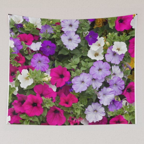 Item preview, petunias flowers designed and sold by Floralsharry.