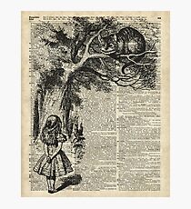 Alice With Cheshire Cat,Alice In Wonderland,Vintage Dictionary Art Photographic Print