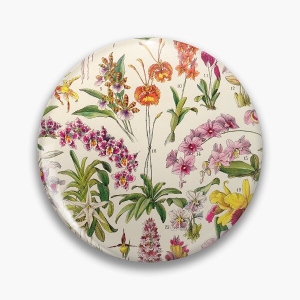 Item preview, Adolphe Millot - Orchids - French vintage botanical illustration designed and sold by DejaVuStudio.