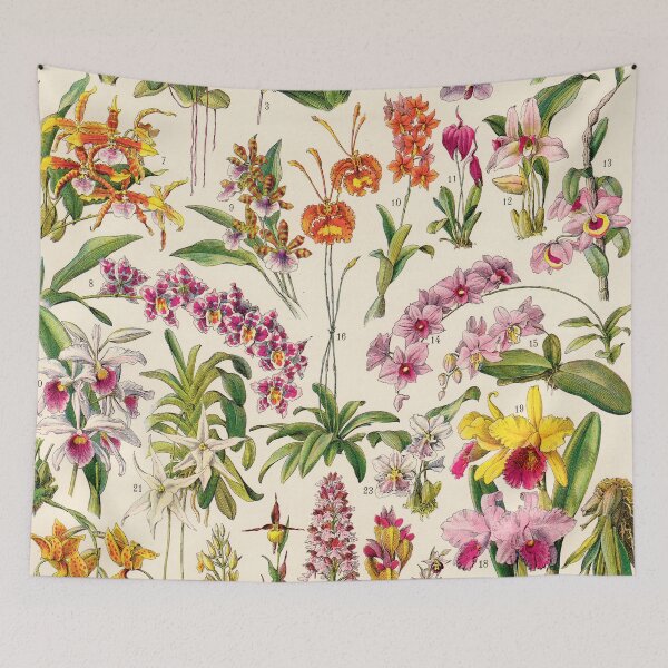 Item preview, Adolphe Millot - Orchids - French vintage botanical illustration designed and sold by DejaVuStudio.
