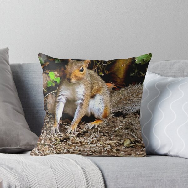 Item preview, The Grey Squirrel - Sciurus carolinensis designed and sold by FuglyManorArt.
