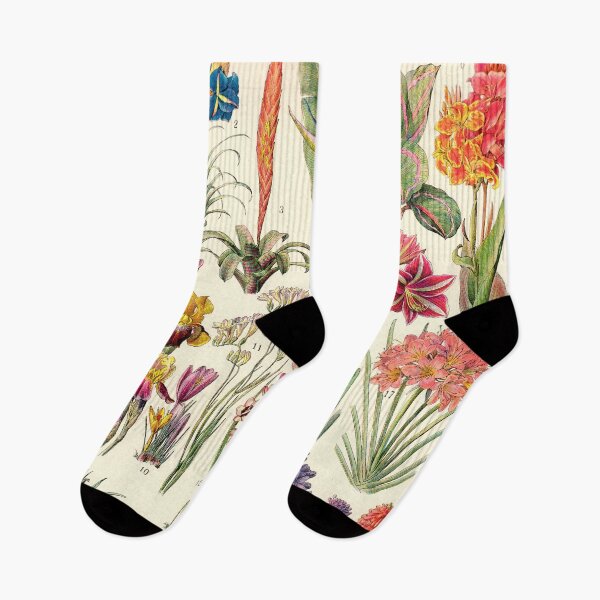 Item preview, Adolphe Millot - Bromeliacees - liliacees - French vintage botanical illustration designed and sold by DejaVuStudio.