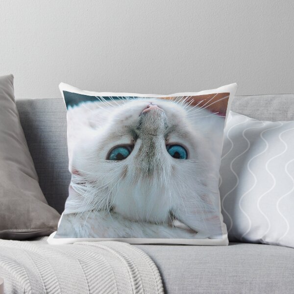 Item preview, Lynx ragdoll kitten designed and sold by Fluffycat2020.