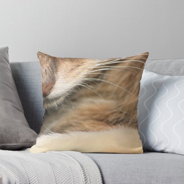 Item preview, Close-up of tabby cat designed and sold by turniptowers.