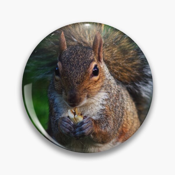 Item preview, Squirrel 3 designed and sold by Charles Oliver Creations.