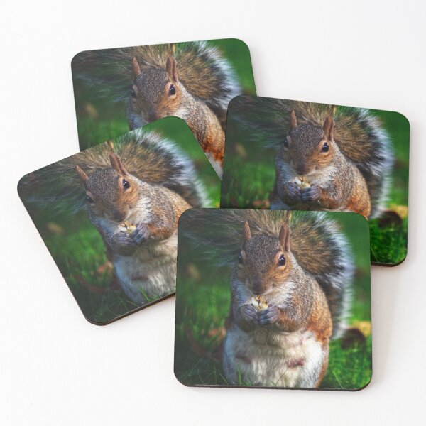 Item preview, Squirrel 3 designed and sold by Charles Oliver Creations.