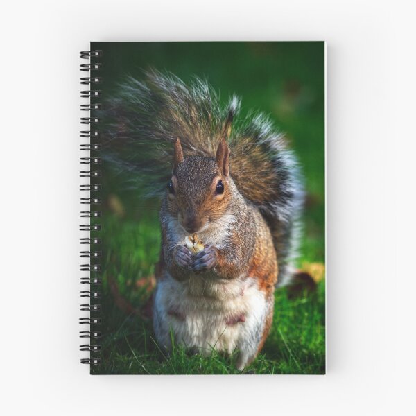 Item preview, Squirrel 3 designed and sold by Charles Oliver Creations.