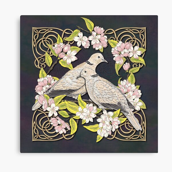 Celtic Collared Doves in Blossom Canvas Print