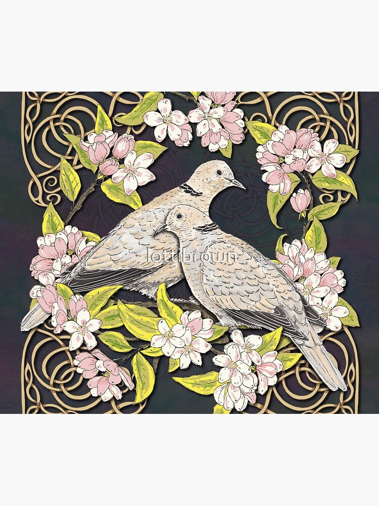 Celtic Collared Doves in Blossom by lottibrown