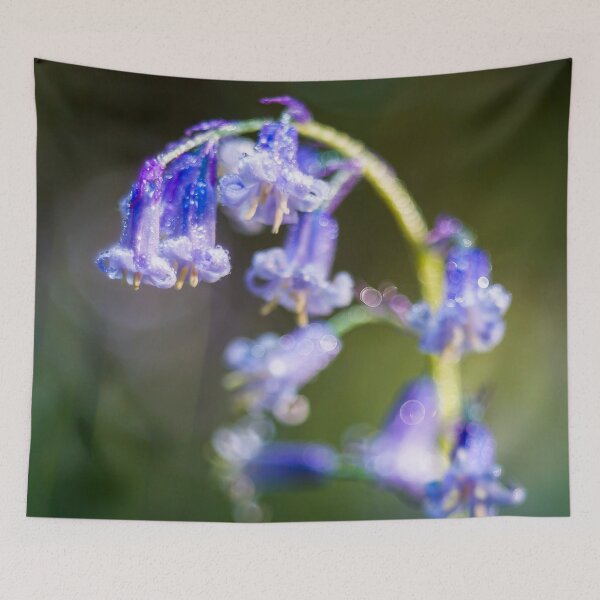 Item preview, Gorgeous little bluebell covered in rain drops designed and sold by CyaniRose.