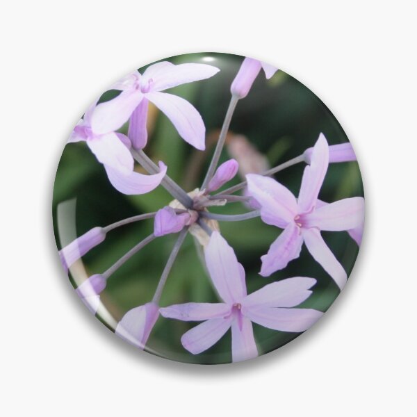 Item preview, Wild Garlic Mauve Cluster Close Up Photograph designed and sold by taiche.